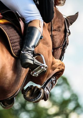 05 juillet spectacle equestre montgaudry