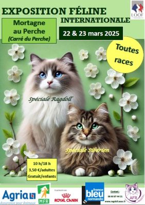 22 et 23 mars salon du chat