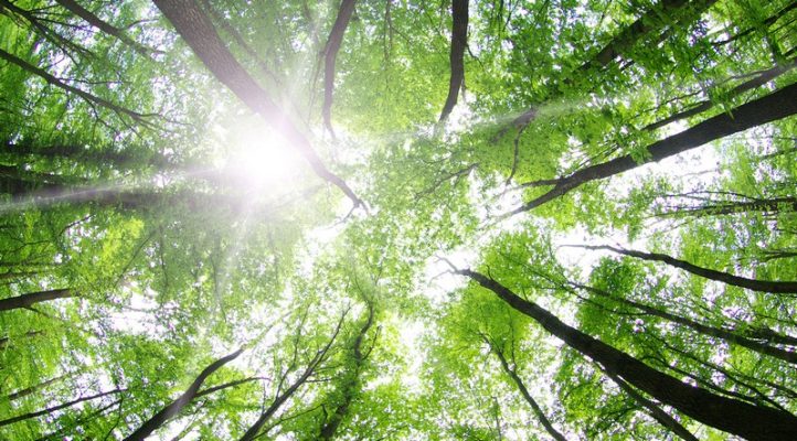 22 novembre conférence réveillon