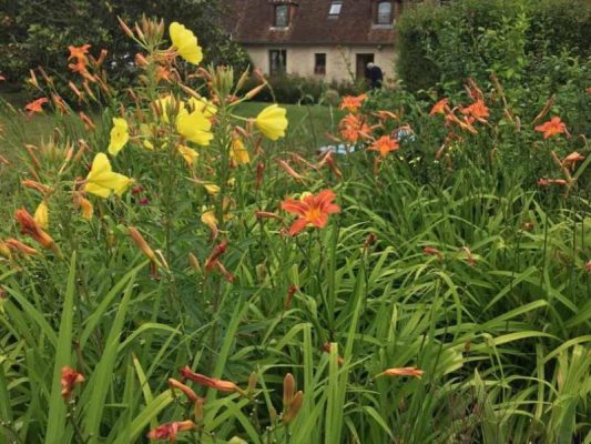 Gîtes de France Les Coudereaux