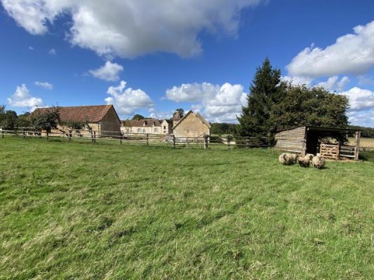 Surmont