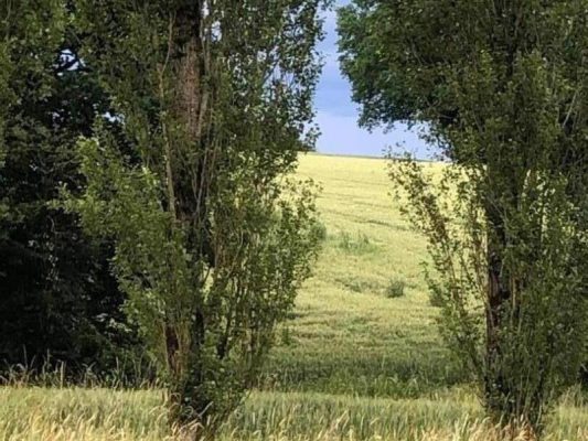 Les Peupliers du Perche