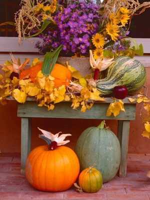 citrouille d'automne