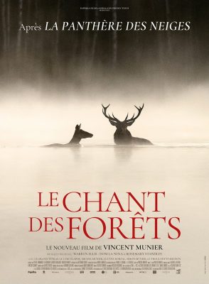 le chant des forets
