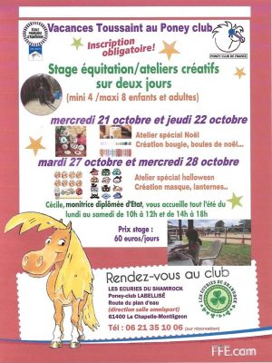 stage d'équitation écurie du shamrock